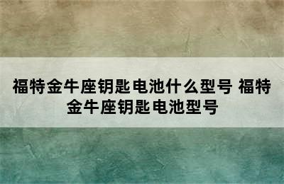 福特金牛座钥匙电池什么型号 福特金牛座钥匙电池型号